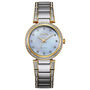 Silhouette Crystal Women&rsquo;s Watch in Two-Tone Ion-Plated Stainless Steel