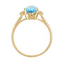 Lab-Created Birthstone and Diamond Accent Ring in 10K Yellow Gold