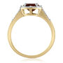 Garnet and Diamond Halo Ring in 10K Yellow Gold &#40;1/7 ct. tw.&#41;
