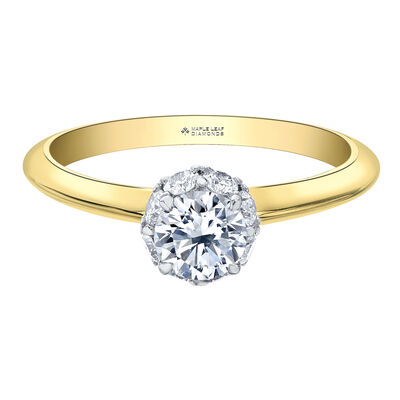 Halo Engagement Ring in 14K Yellow Gold & 14K White Gold (3/4 ct. tw.)