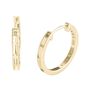 1/4 ct. tw. Diamond Hoop Earrings in 10K Yellow Gold