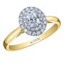Oval-Shaped Double Halo Engagement Ring in 14K Yellow Gold &#40;1/2 ct. tw.&#41;