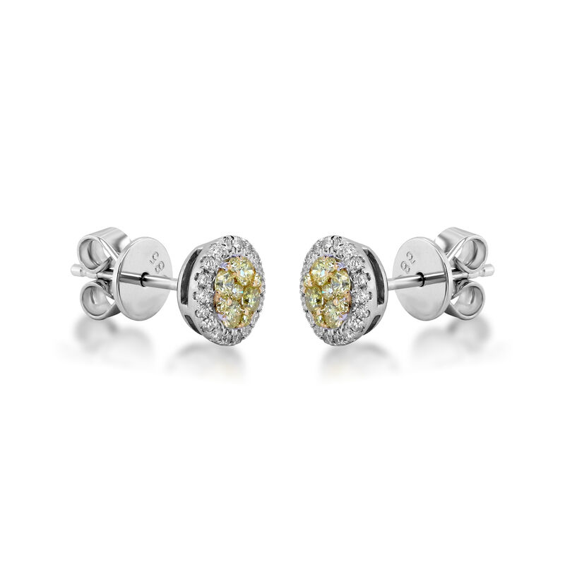 Yellow &amp; White Diamond Stud Earrings in 14K Yellow &amp; White Gold 