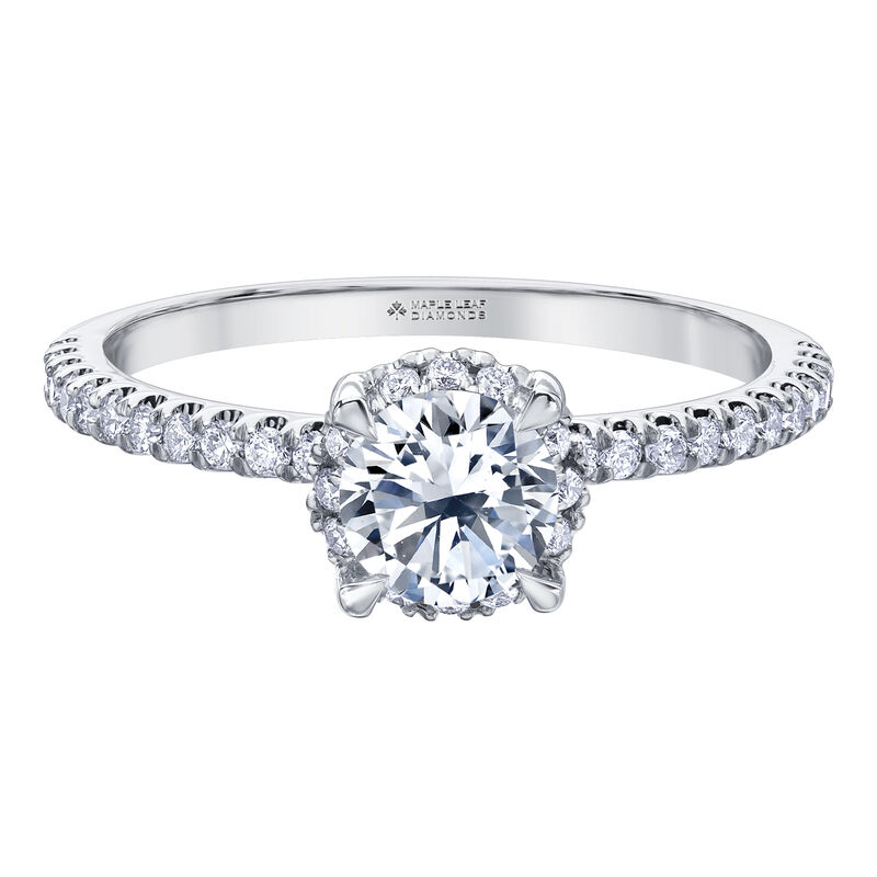 Round-shaped Halo Engagement Ring in 14K White Gold &#40;1 ct. tw.&#41;