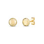 Polished Round Stud Earrings in 14K Yellow Gold
