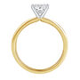 Diamond Round Brilliant Cut Solitaire Engagement Ring in 14K Gold