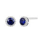 Diamond &amp; Blue Sapphire Stud Earrings in 14K White Gold
