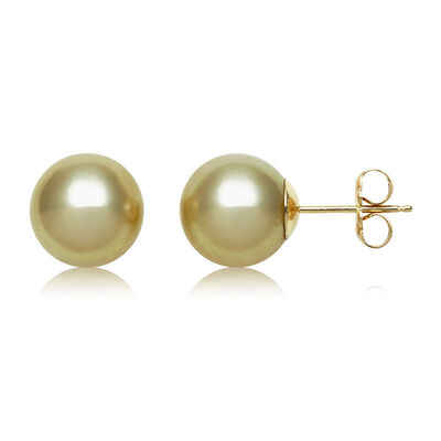 South Sea Pearl Earrings in 14K Yellow Gold
