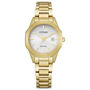 Corso Ladies&rsquo; Watch in Gold-plated Stainless Steel