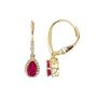 Ruby &amp; 1/5 ct. tw. Diamond Earrings in 10K Yellow Gold