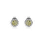 Yellow &amp; White Diamond Stud Earrings in 14K Yellow &amp; White Gold 