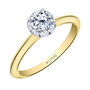 Halo Engagement Ring in 14K Yellow Gold &amp; 14K White Gold &#40;3/4 ct. tw.&#41;