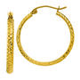 Hoop Earrings in 14K Yellow Gold
