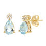 Aquamarine and Diamond Accent Earrings in 10K Yellow Gold 