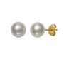 Ayoka Cultured Pearl Stud Earrings in 14K Yellow Gold, 7-7.5MM