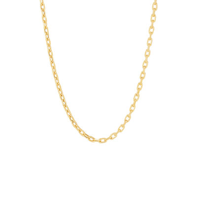 Rolo Chain in 14K Yellow Gold, 3.1MM, 22”
