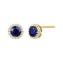Blue Sapphire &amp; Diamond Accent Stud Earrings in 14k Yellow Gold