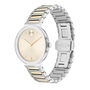 Ladies&rsquo; Watch in Two-Tone Gold-Tone Stainless Steel